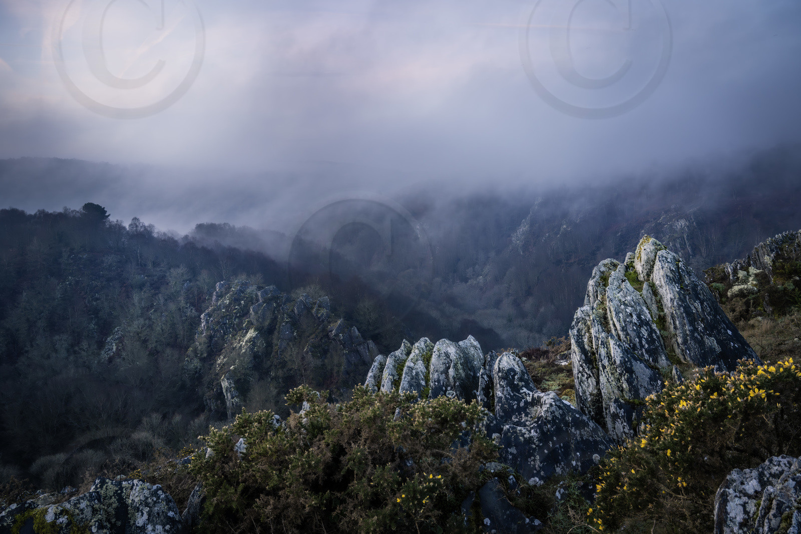 dsc_1946-avec-accentuation-nr-copie.jpg