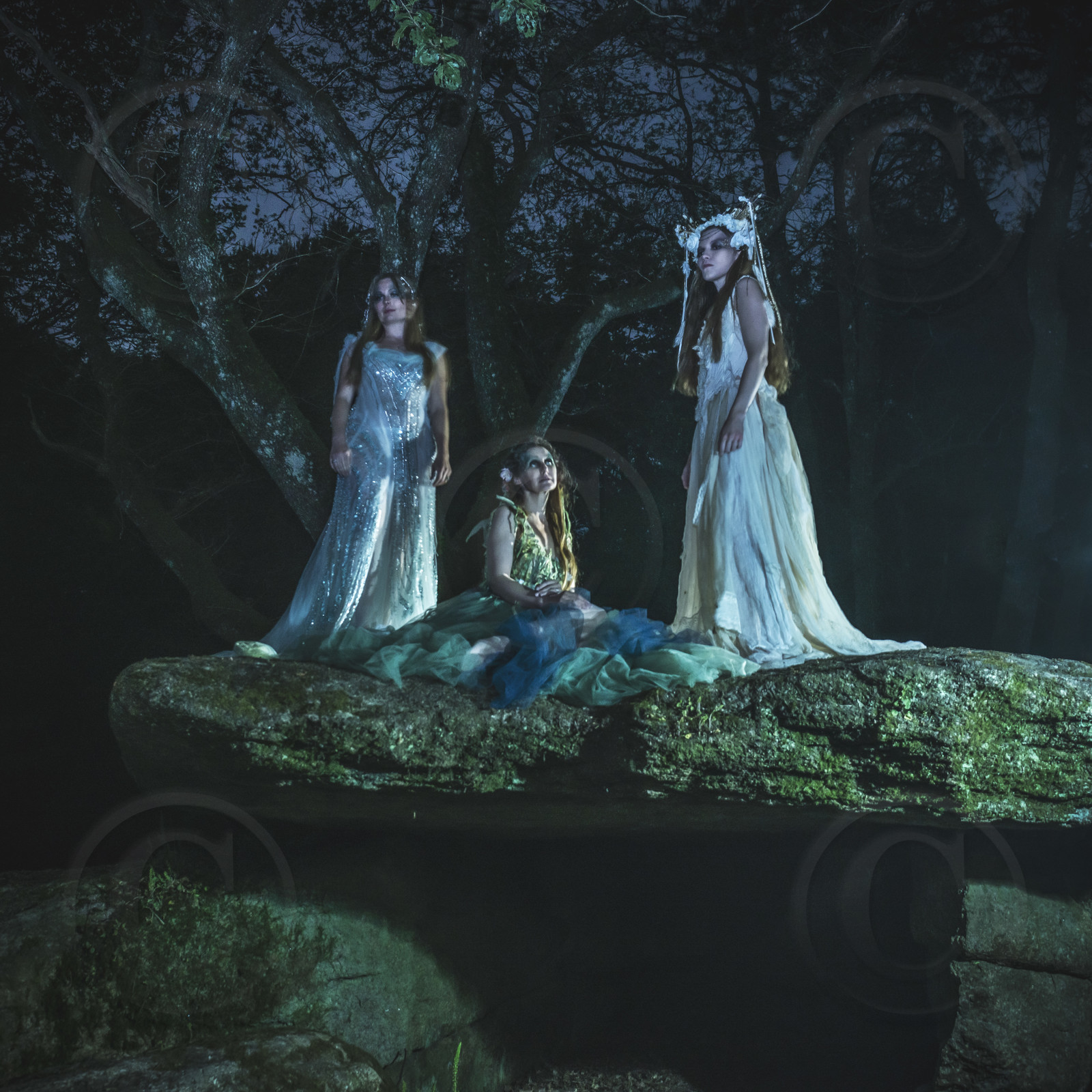 Les fées des bois