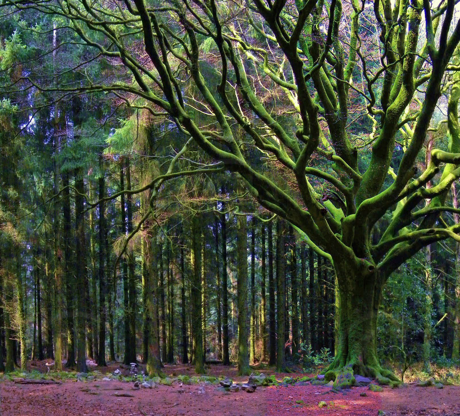 panorama_9.jpg