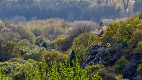 dsc_3895.jpg