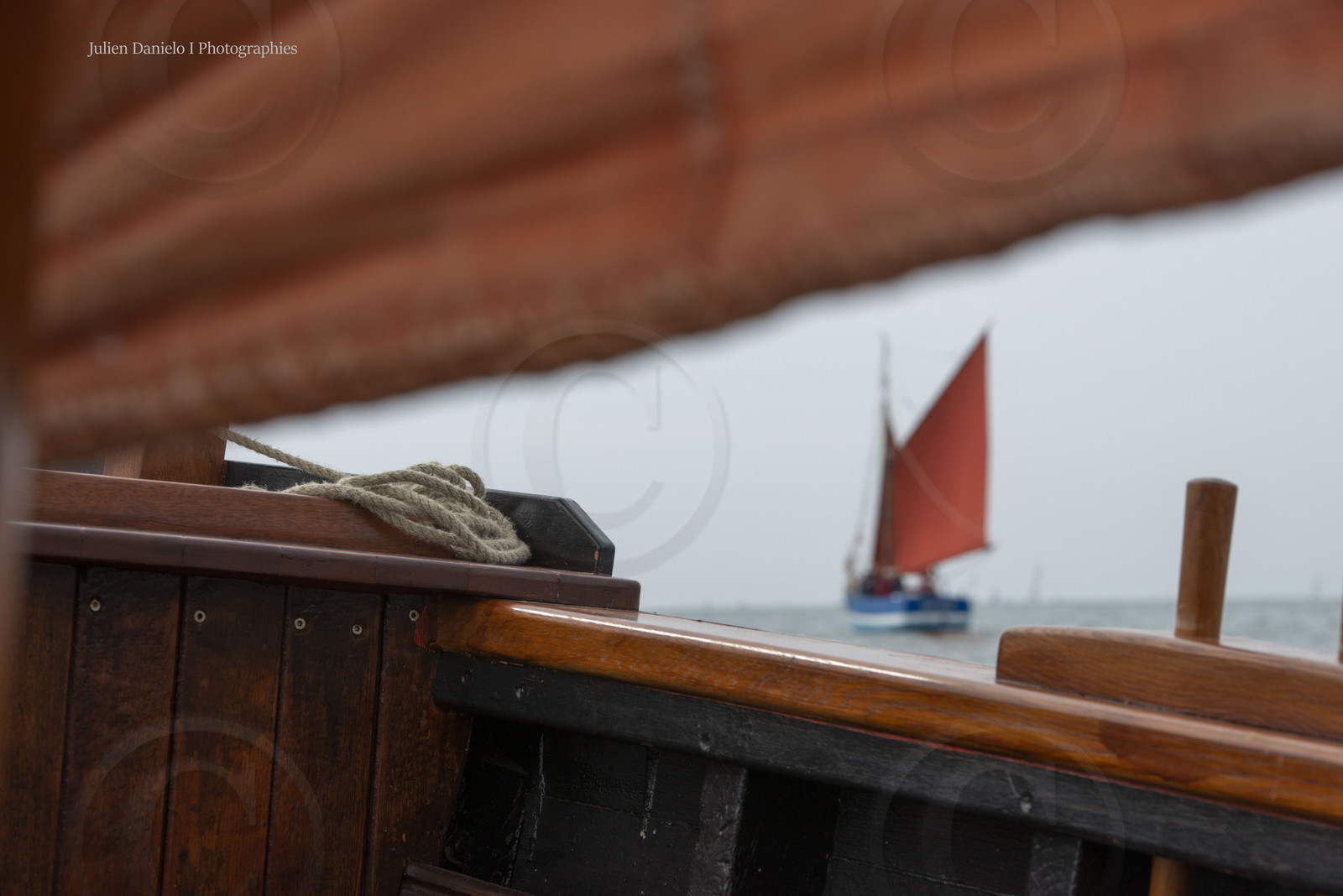 _dsc2564.jpg