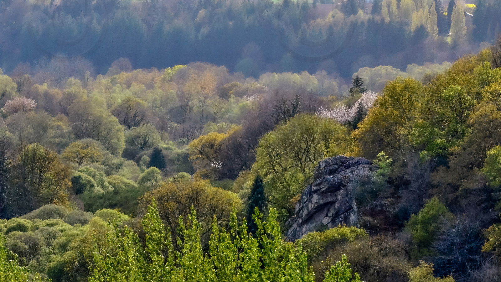 dsc_3895.jpg
